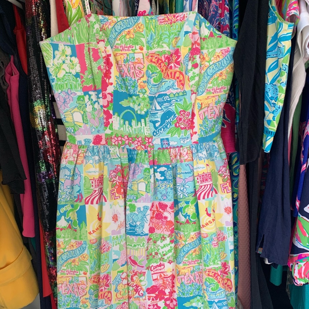 Lilly Pulitzer Lottie Dress in Lilly State of Mind
